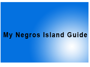Negros island real estate